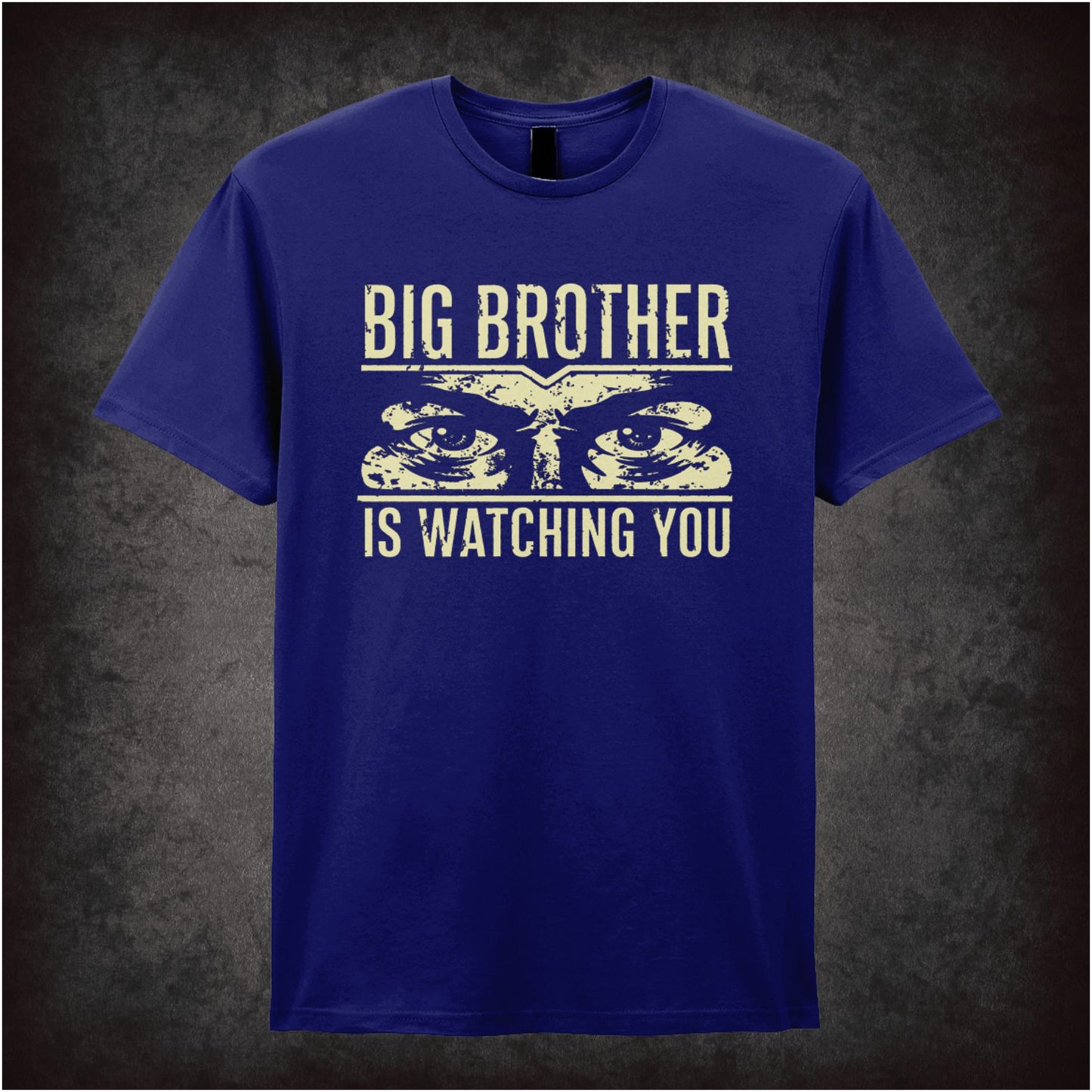 BIG BROTHER IS WATCHING YOU