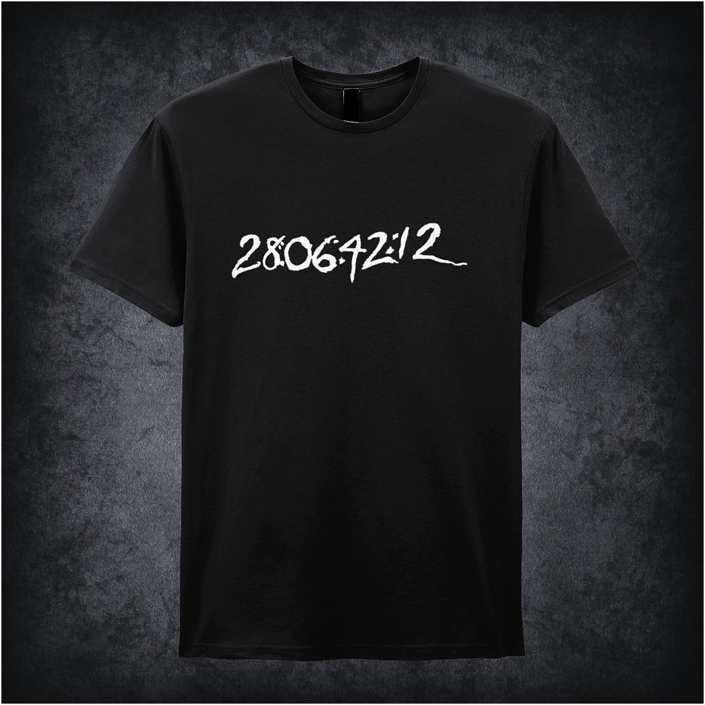 Black unisex T-shirt featuring the phrase “Flight Number, 28:06:42:12” inspired by Donnie Darko, with bold, mysterious typography reflecting the film’s dark, cult aesthetic.
