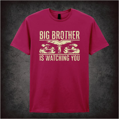 BIG BROTHER IS WATCHING YOU