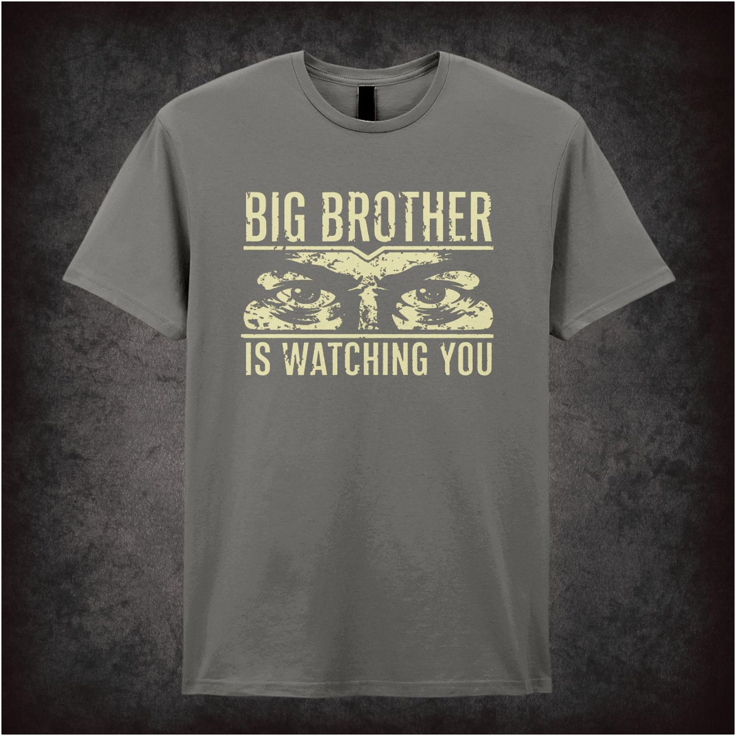 BIG BROTHER IS WATCHING YOU