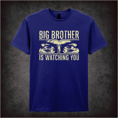BIG BROTHER IS WATCHING YOU