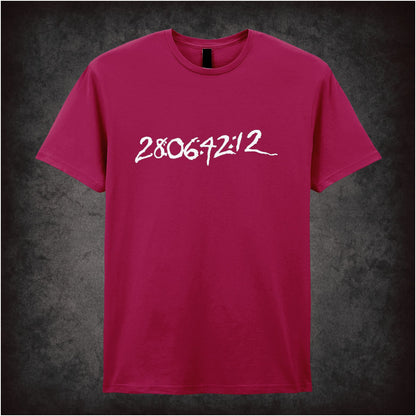 28:06:42:12 – Softstyle Unisex Graphic T-Shirt