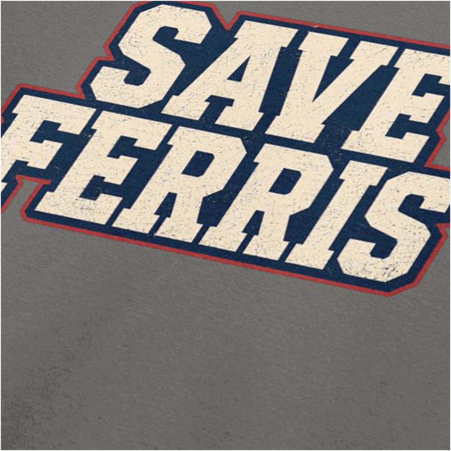 SAVE FERRIS