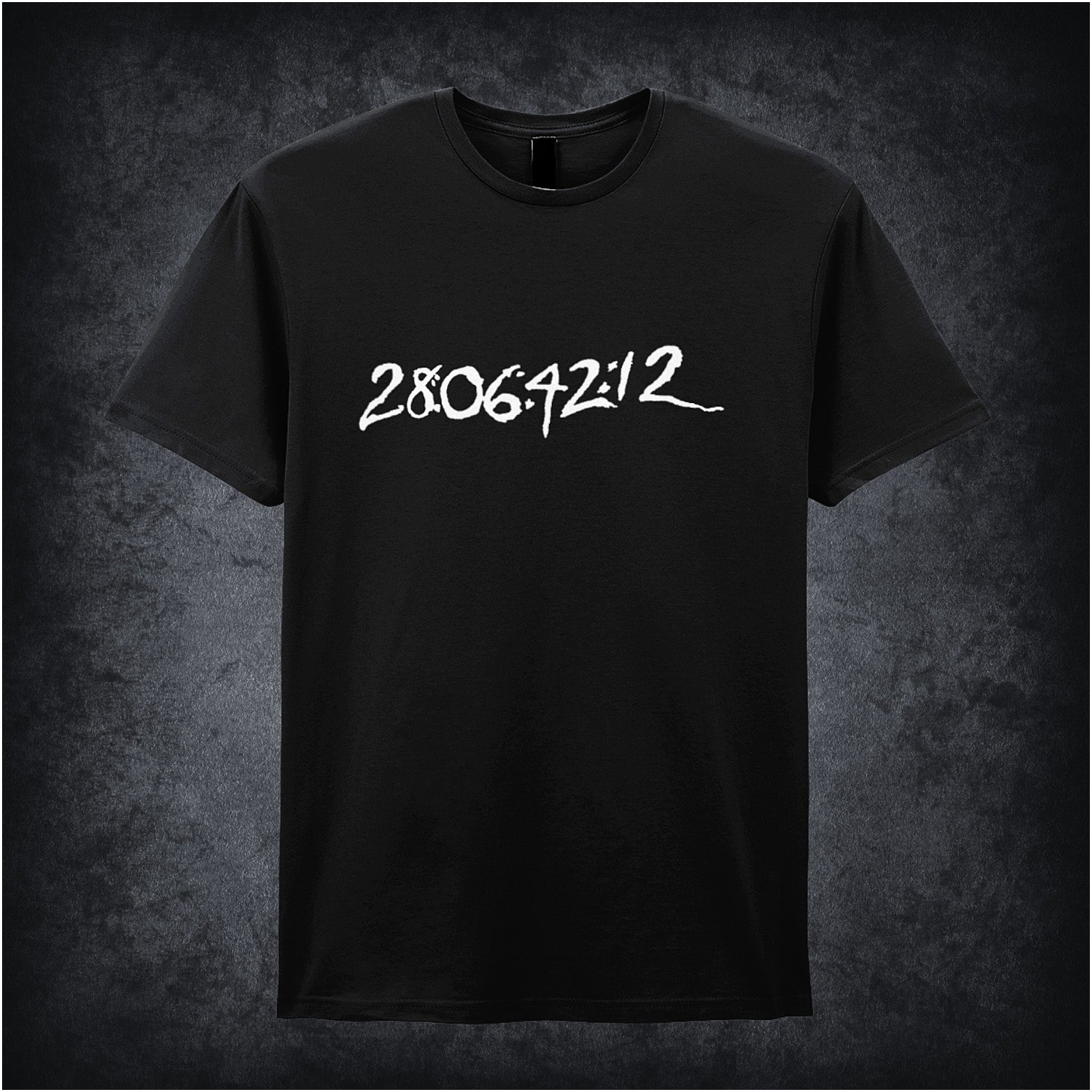 Black unisex T-shirt featuring the phrase “Flight Number, 28:06:42:12” inspired by Donnie Darko, with bold, mysterious typography reflecting the film’s dark, cult aesthetic.