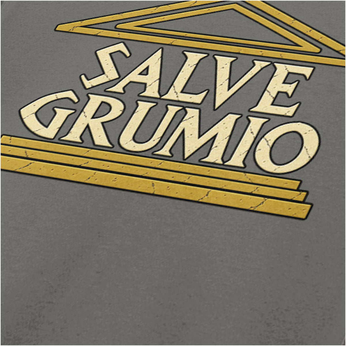 “‘Salve Grumio’ close up T-shirt in charcoal from Plebs”